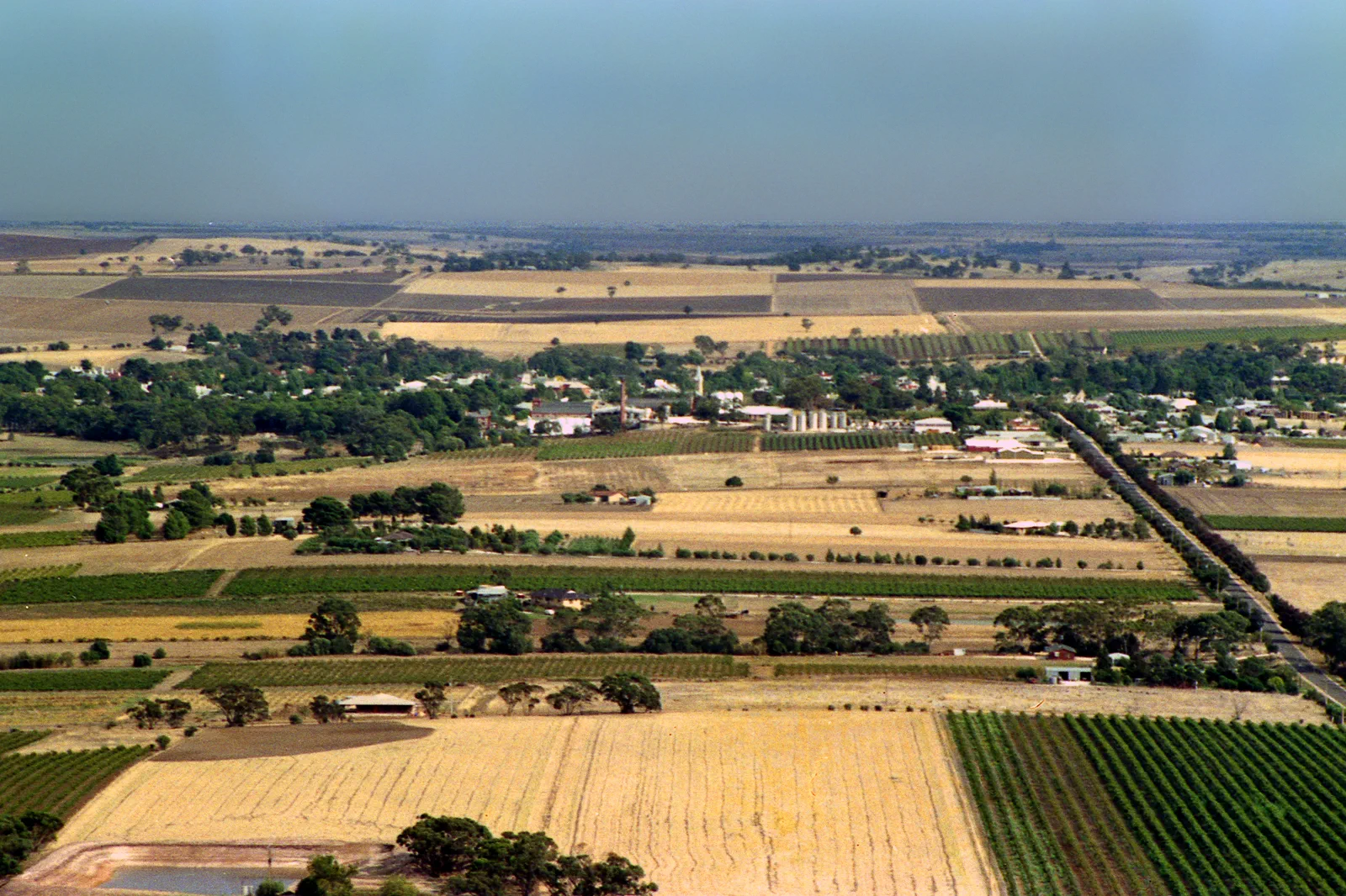 Vineyards across the Barossa Valley in South Australia