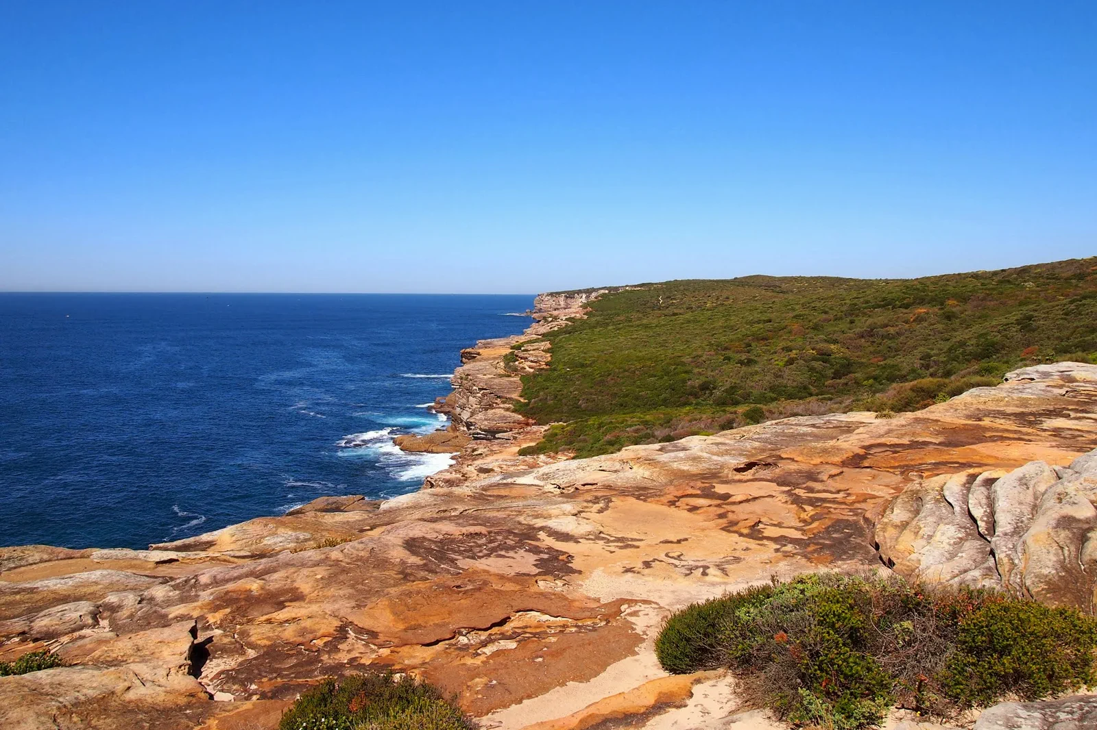 Cliffs and ocean along the Royal National Park coast