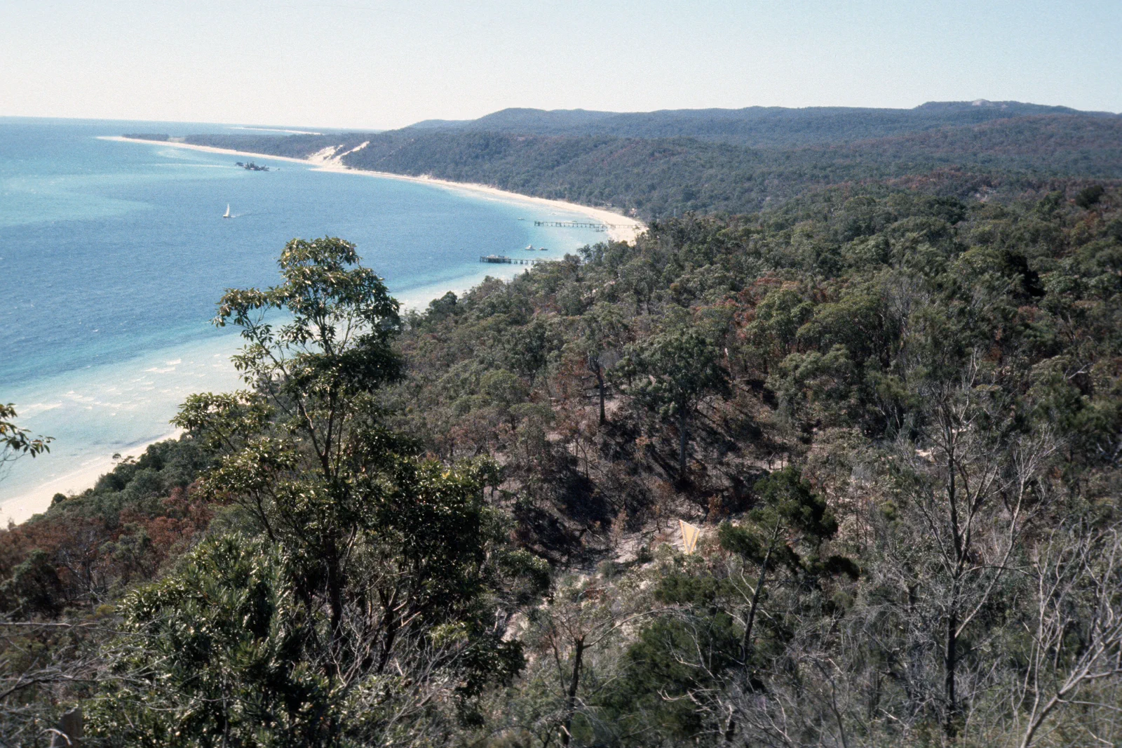 Sand coast and clear water on Mulgumpin Moreton Island