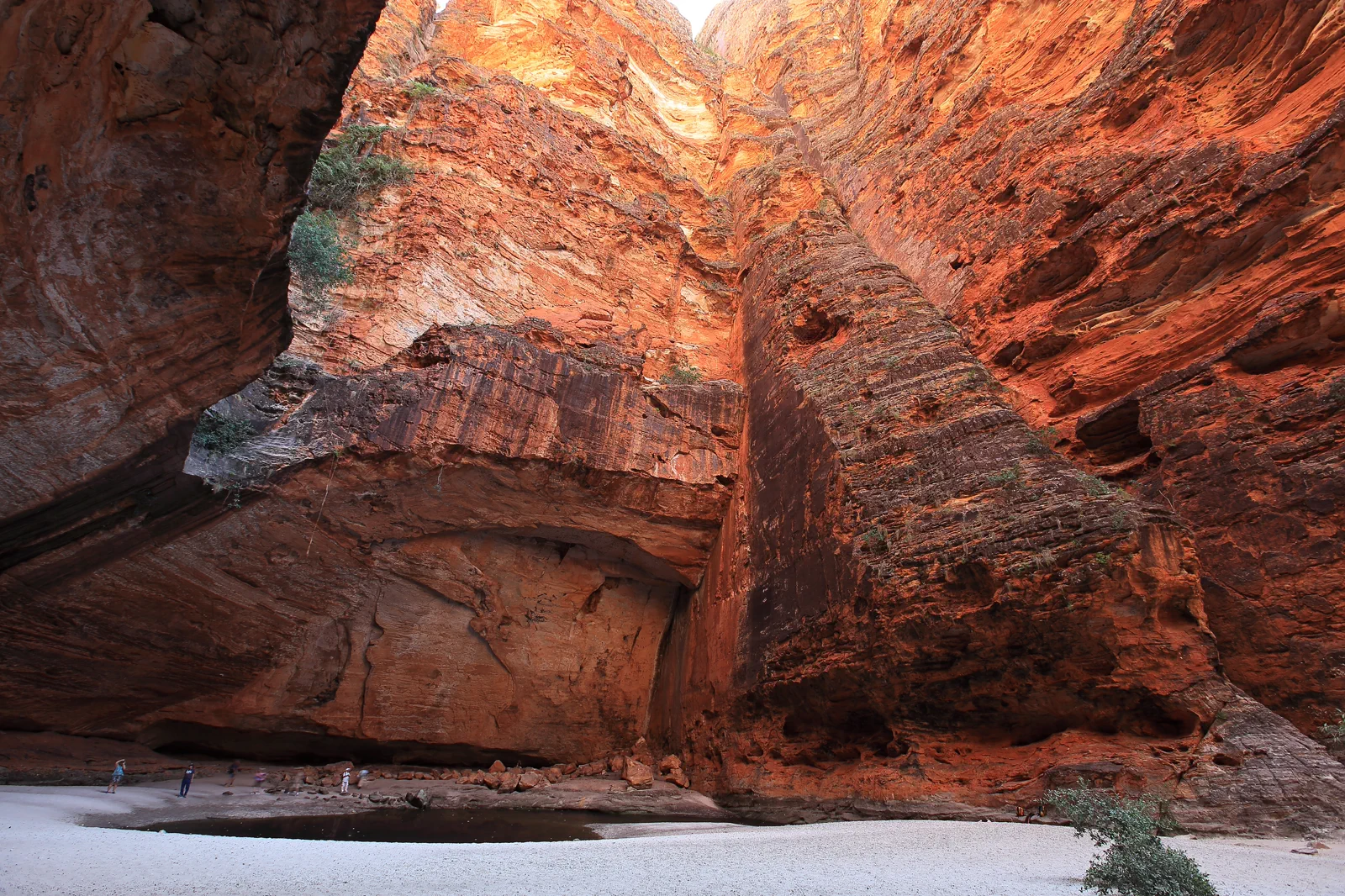 Striped sandstone domes in Purnululu National Park
