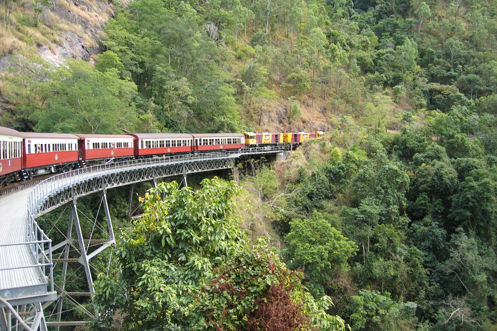 Kuranda Scenic Railway passing through tropical rainforest