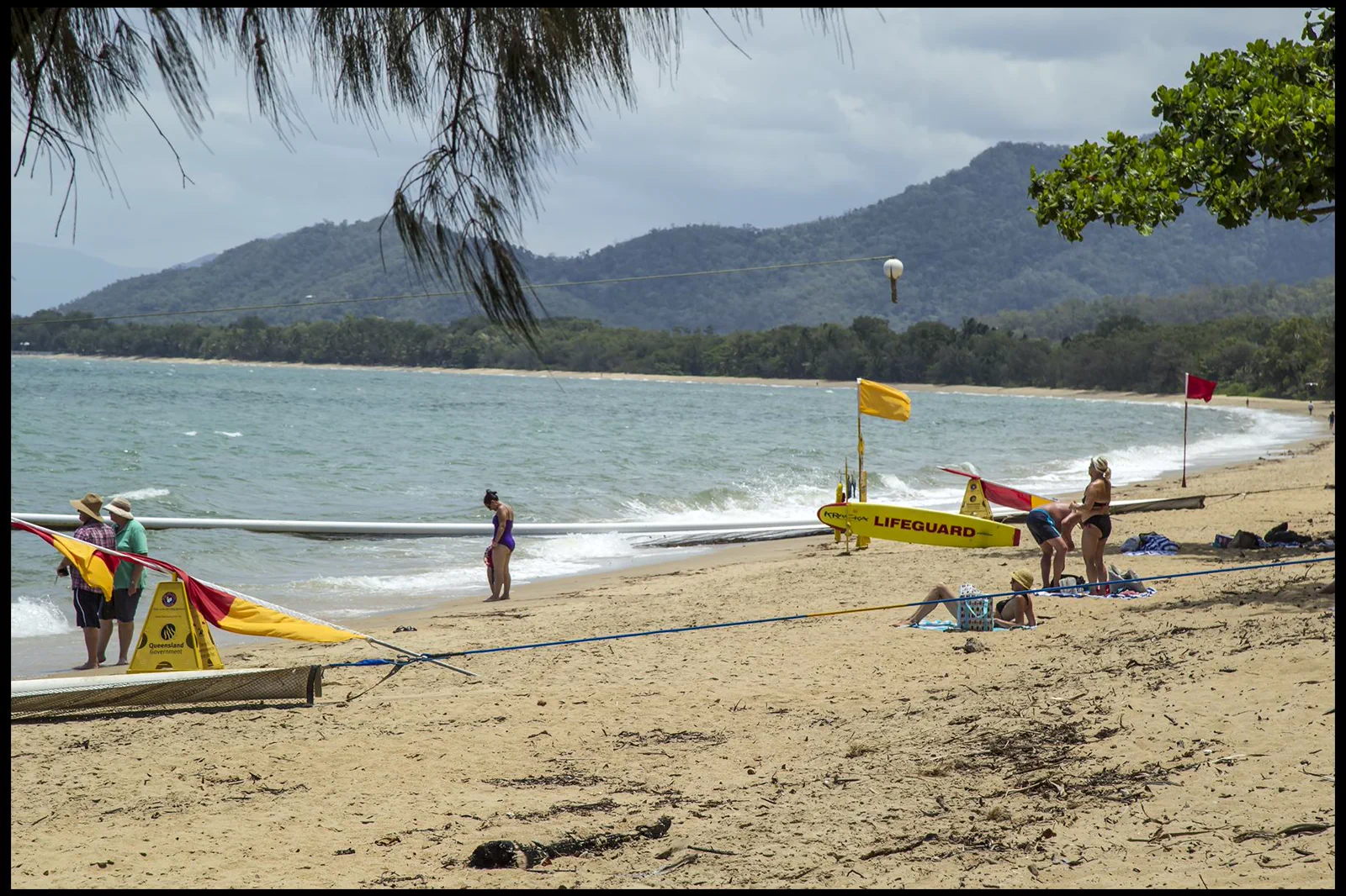 Palm-lined beach at Palm Cove north of Cairns