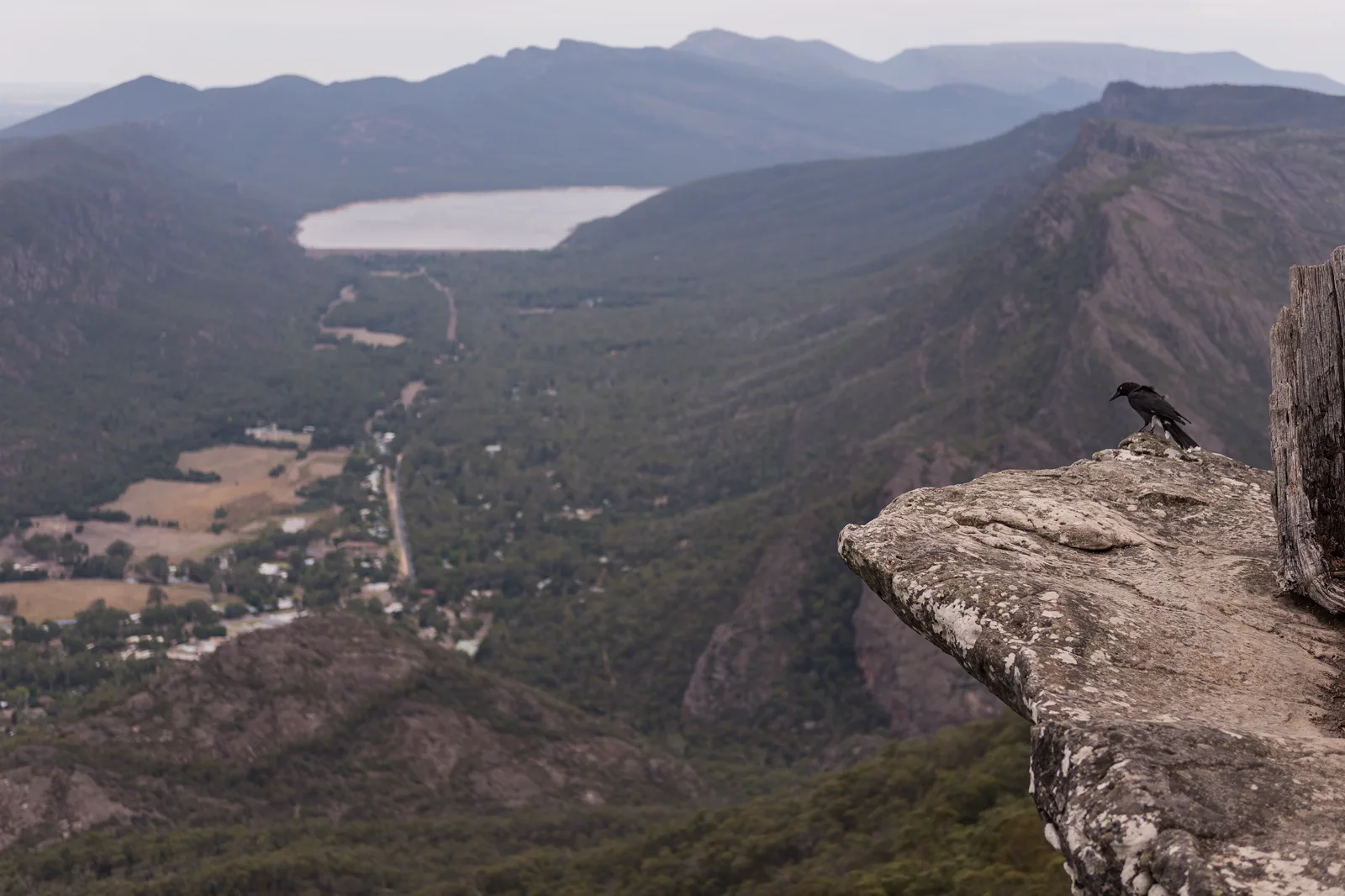 Mountain ranges and forest in Gariwerd Grampians National Park