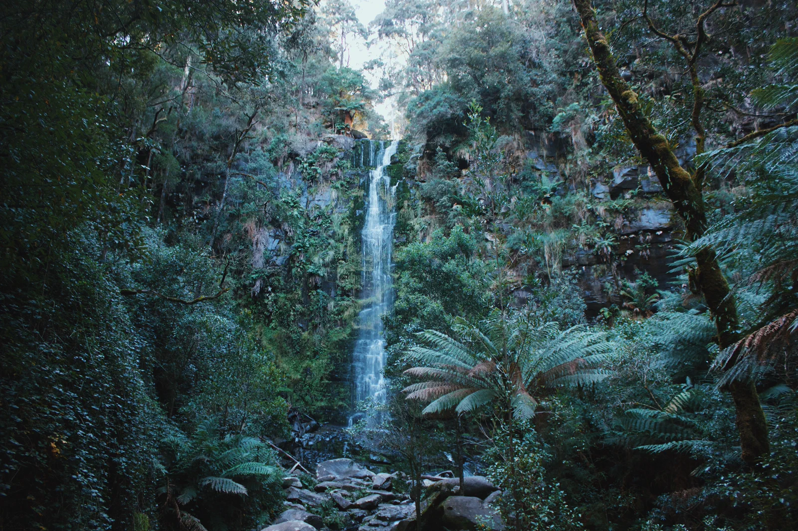 Forest waterfall near Lorne in Great Otway National Park