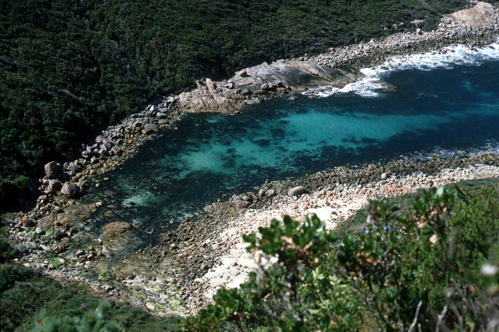 Granite coast and Southern Ocean in Torndirrup National Park