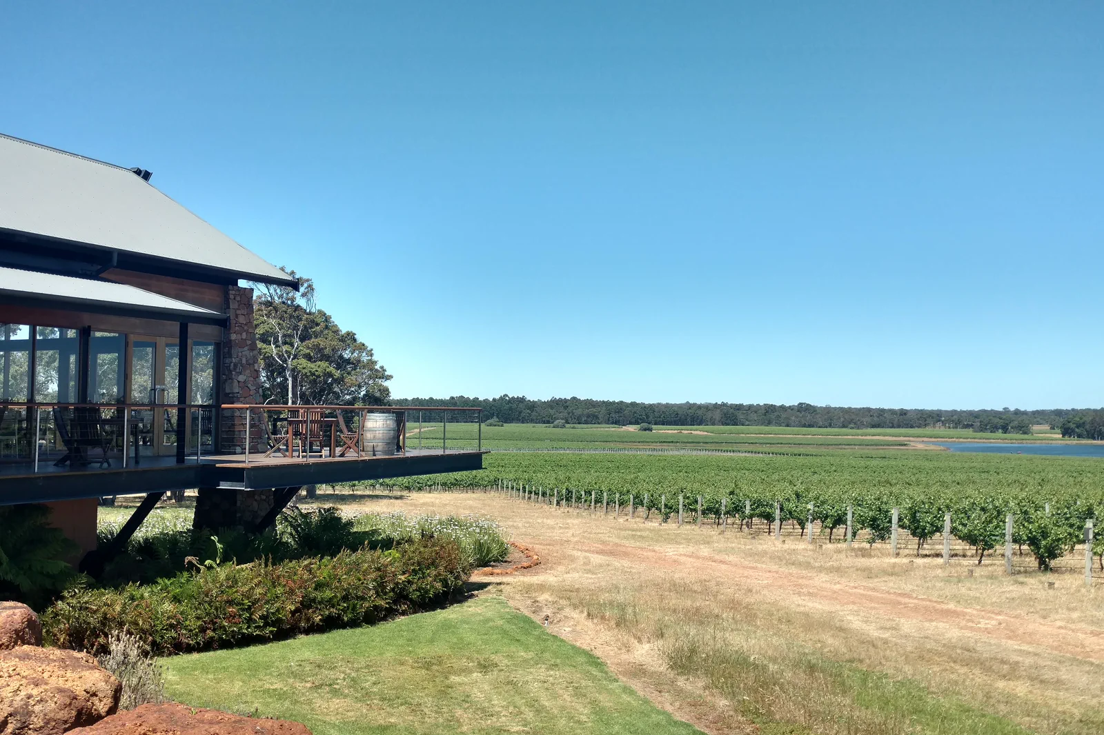 Vineyards in the Margaret River region