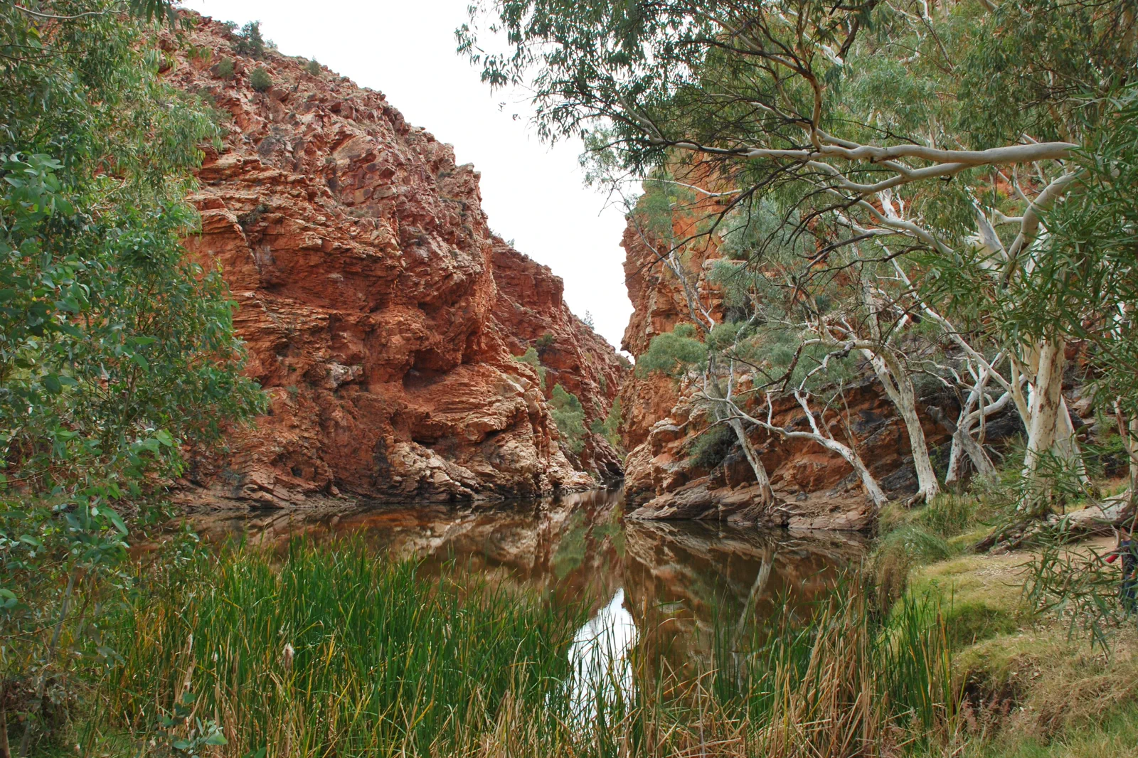 Rocky gorge in Tjoritja West MacDonnell National Park