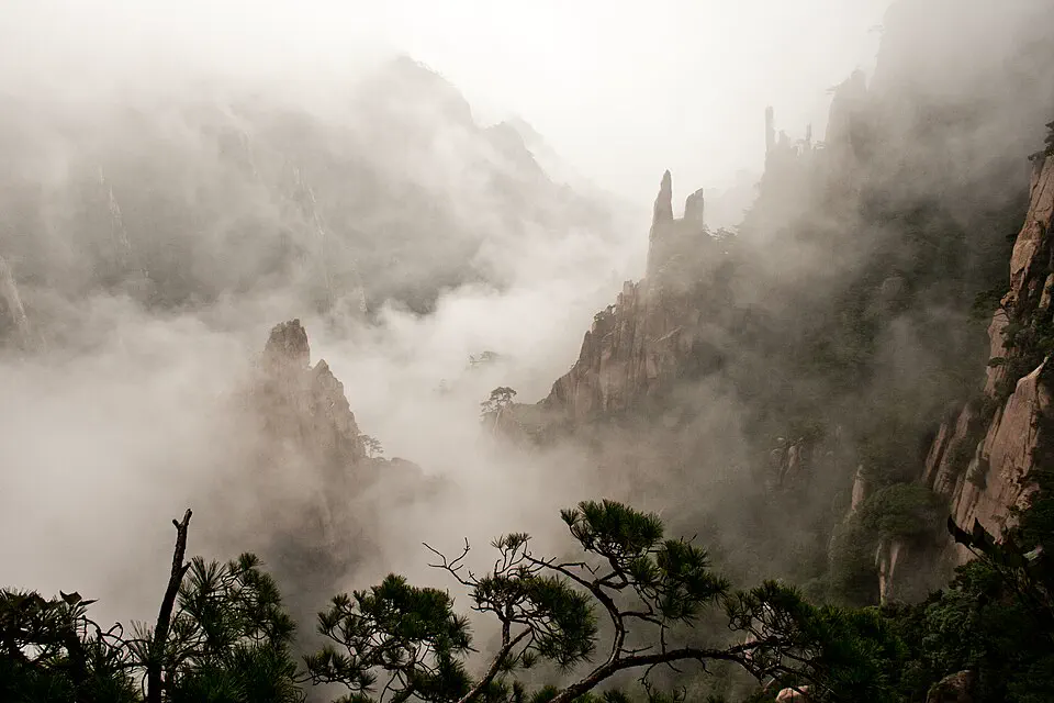Granite Huangshan peaks and wind-shaped pines emerging through mountain mist