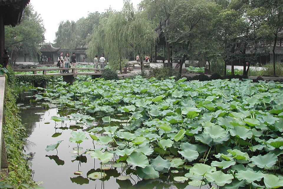 Lotus pond, rockery and traditional pavilions inside a classical Suzhou garden
