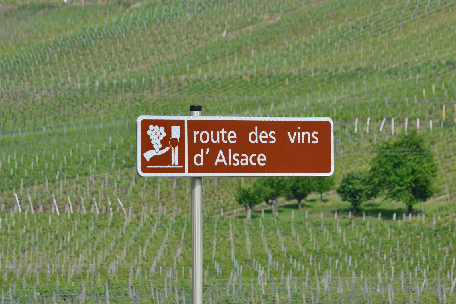 An Alsace wine-route village surrounded by vineyards