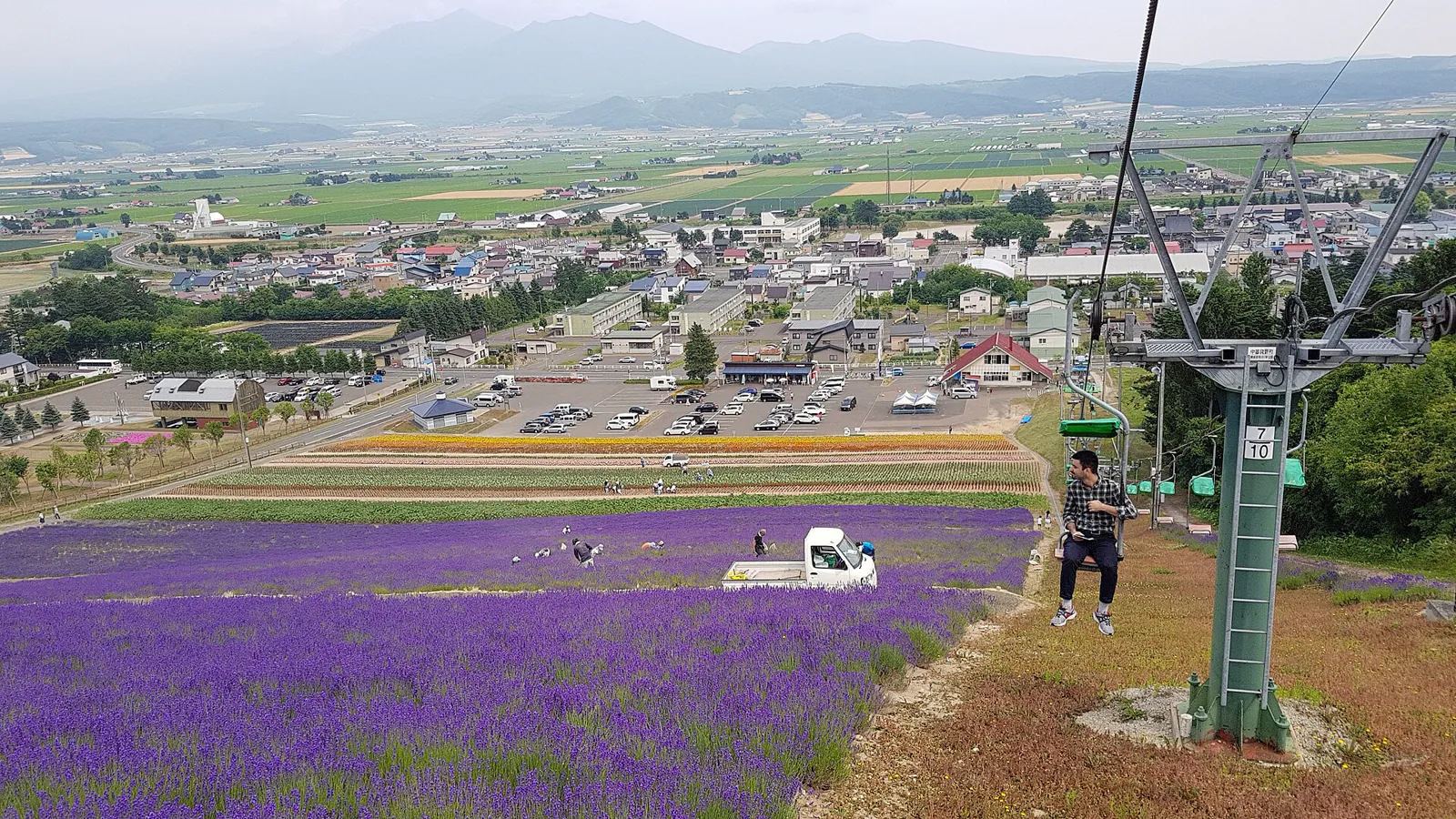 Purple lavender fields and green slopes in Furano