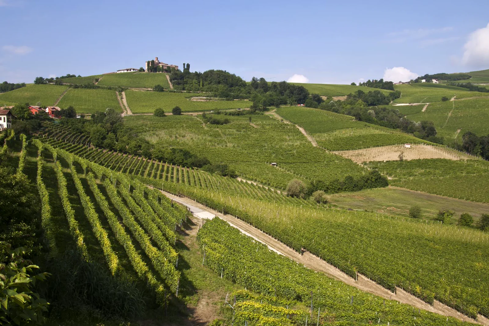 Vineyard hills and villages in the Langhe area of Piedmont