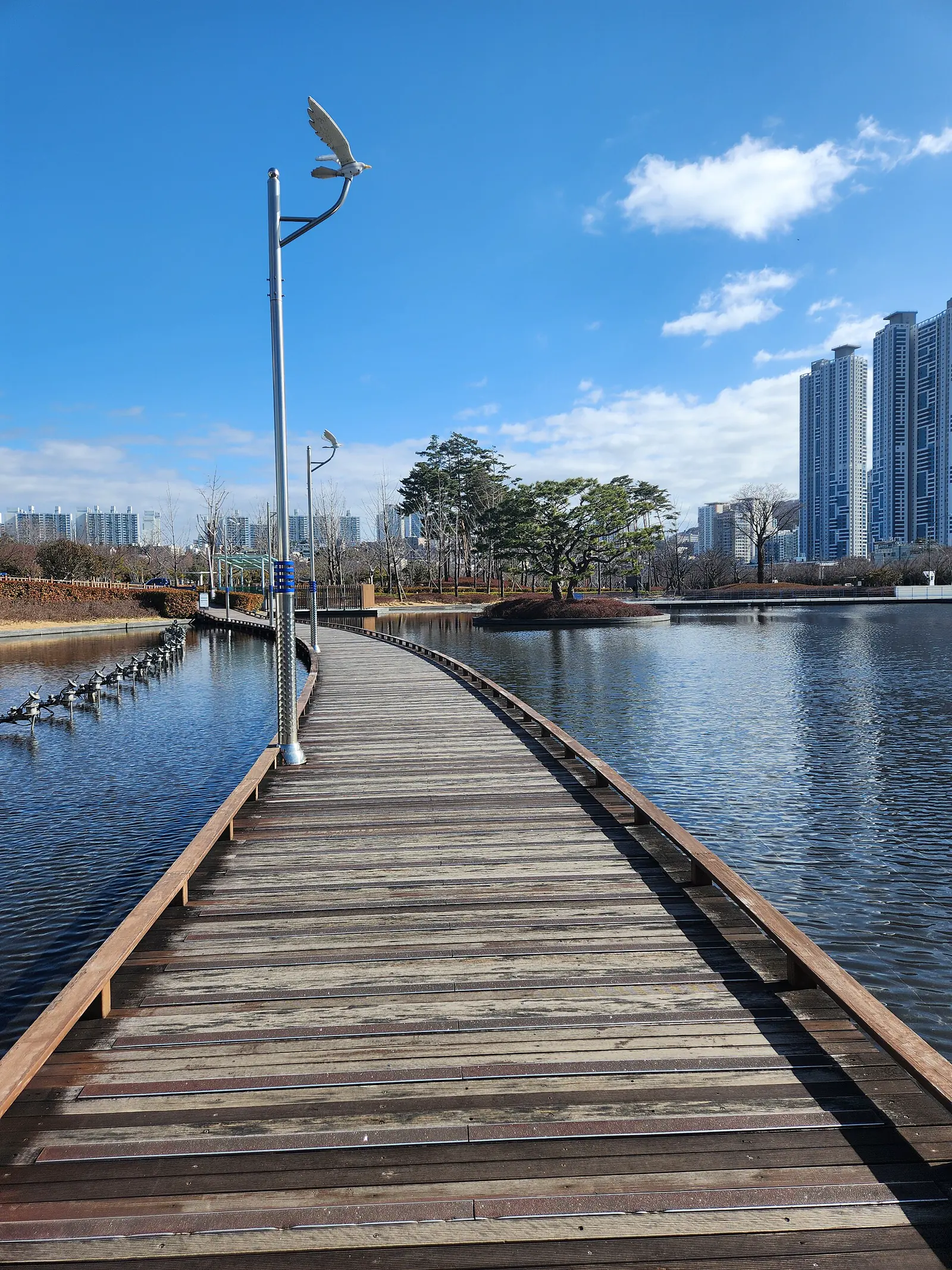 Curving boardwalk across the mirror pond in Busan Citizens Park