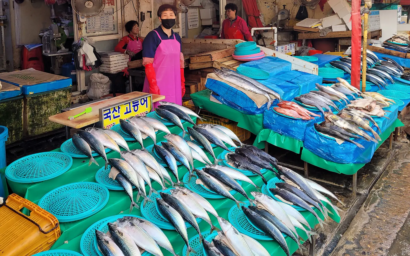 Fresh fish displayed by vendors inside Jagalchi Market