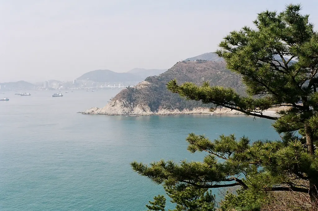 Pine-framed cliffs and open sea at Taejongdae