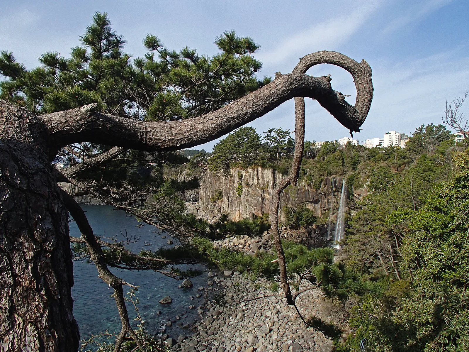 Jeongbang Falls dropping over a coastal cliff near Seogwipo