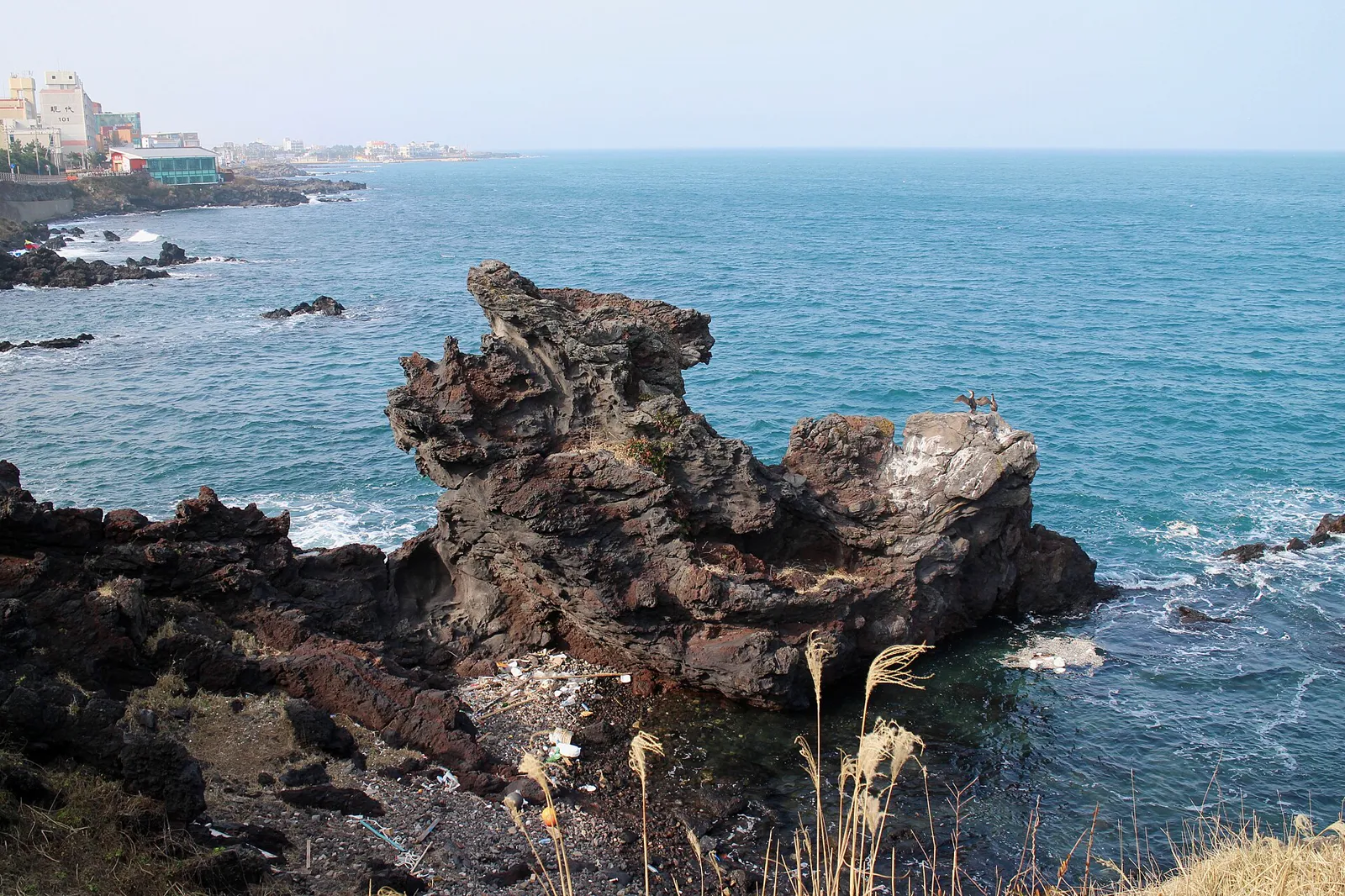 Dark volcanic rock and waves around Yongduam on Jeju's north coast