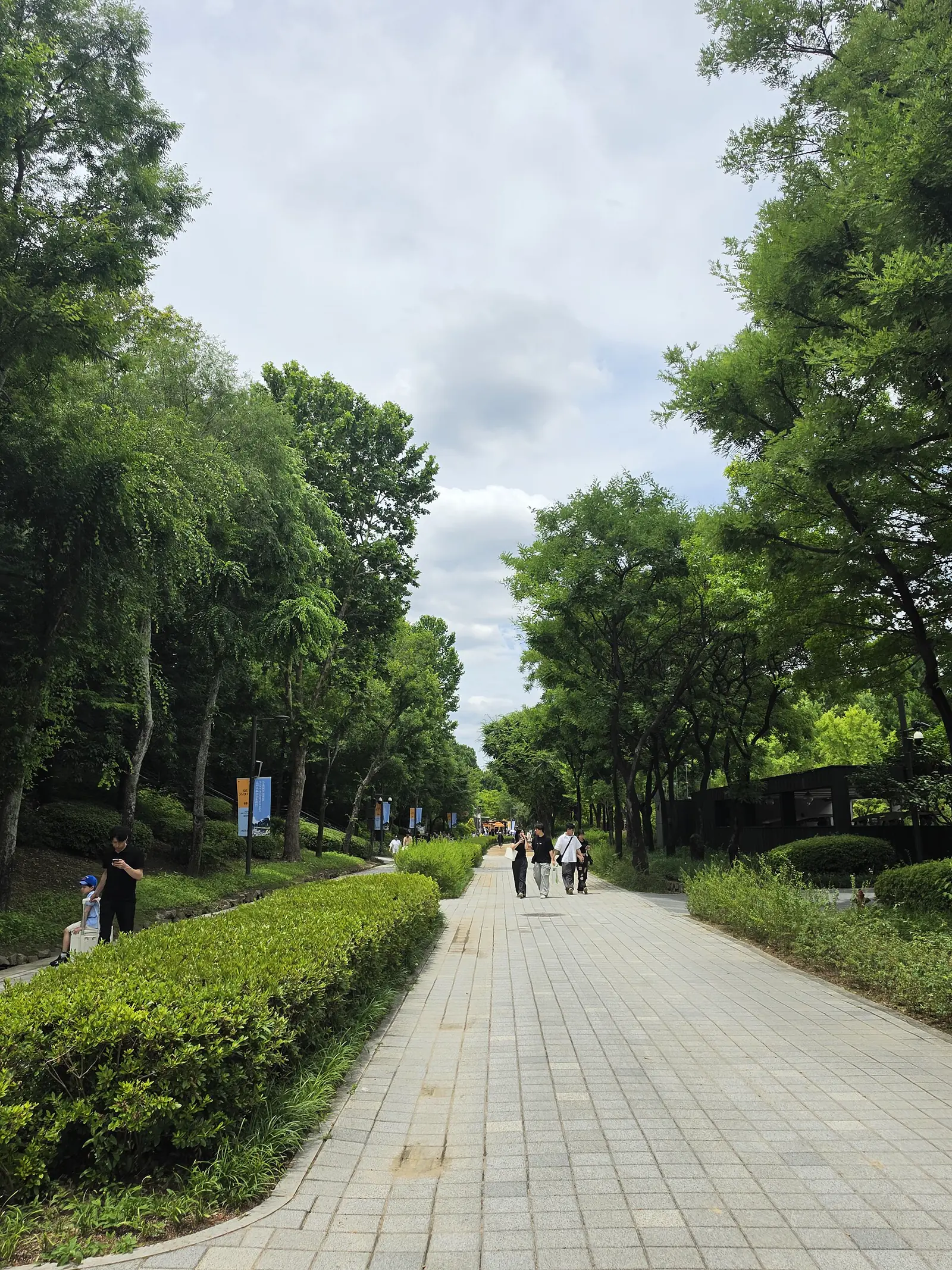 Tree-lined walking path inside Seoul Forest