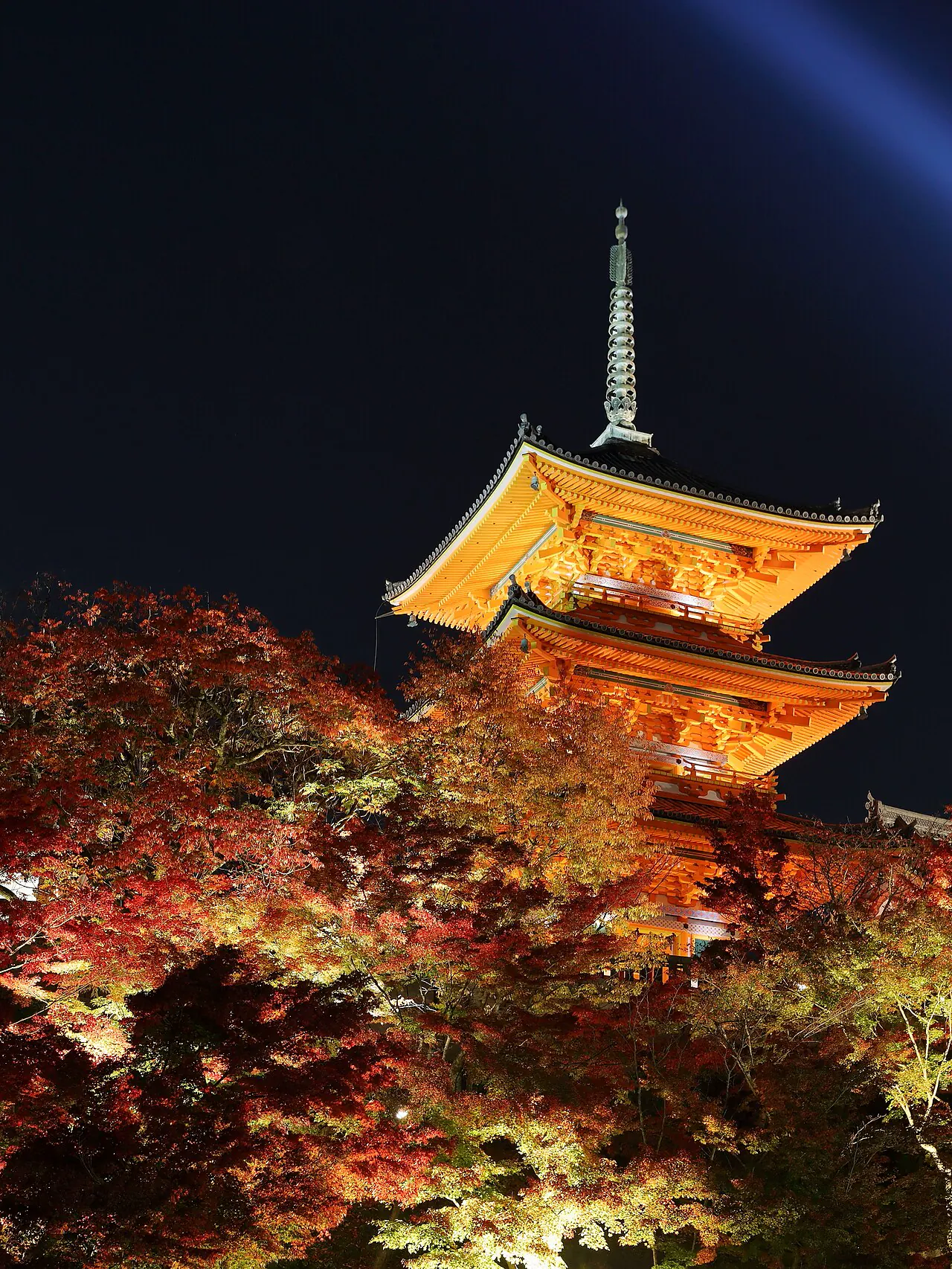 Kiyomizudera temple illuminated above autumn foliage