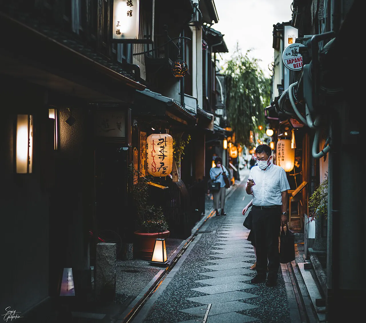 Narrow Pontocho alley glowing with restaurant lanterns