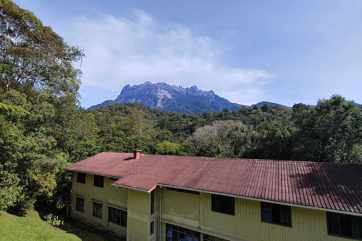 Mount Kinabalu rising above forest and park buildings