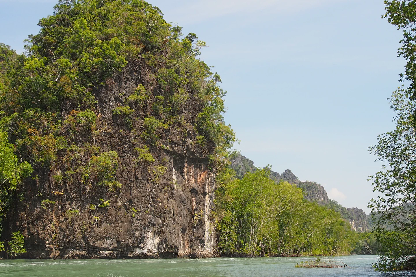 Mangrove water and forested limestone formations in Kilim Geoforest Park