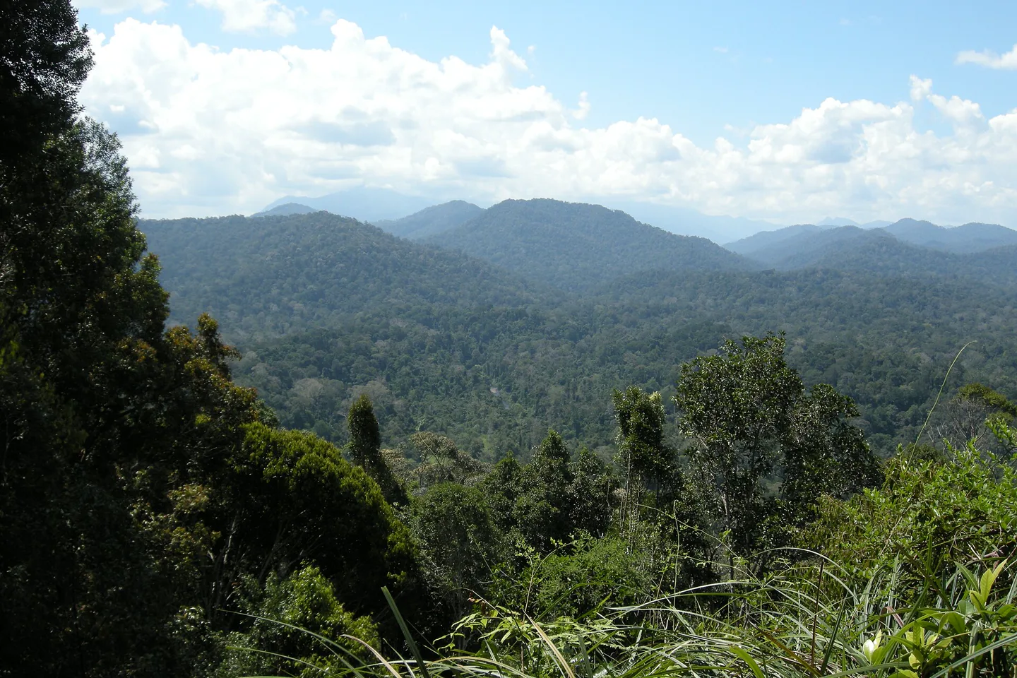 Layered rainforest ridges beneath bright clouds in Taman Negara
