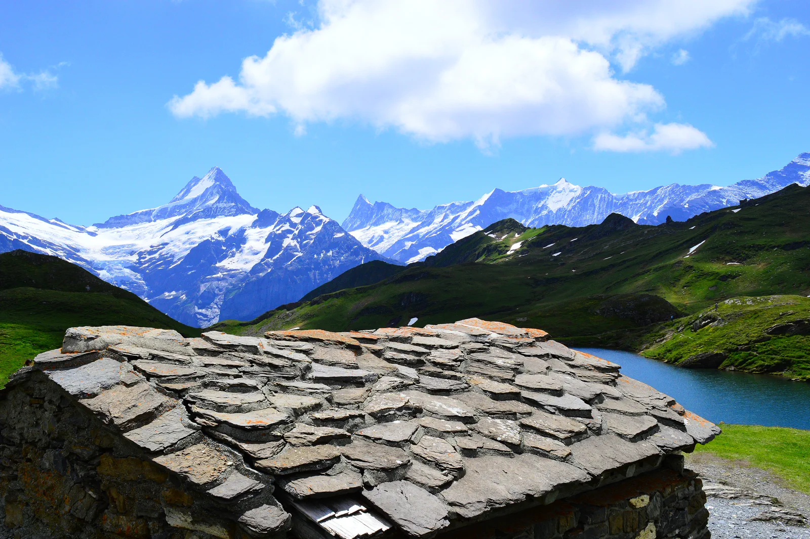 Grindelwald valley and mountains near First