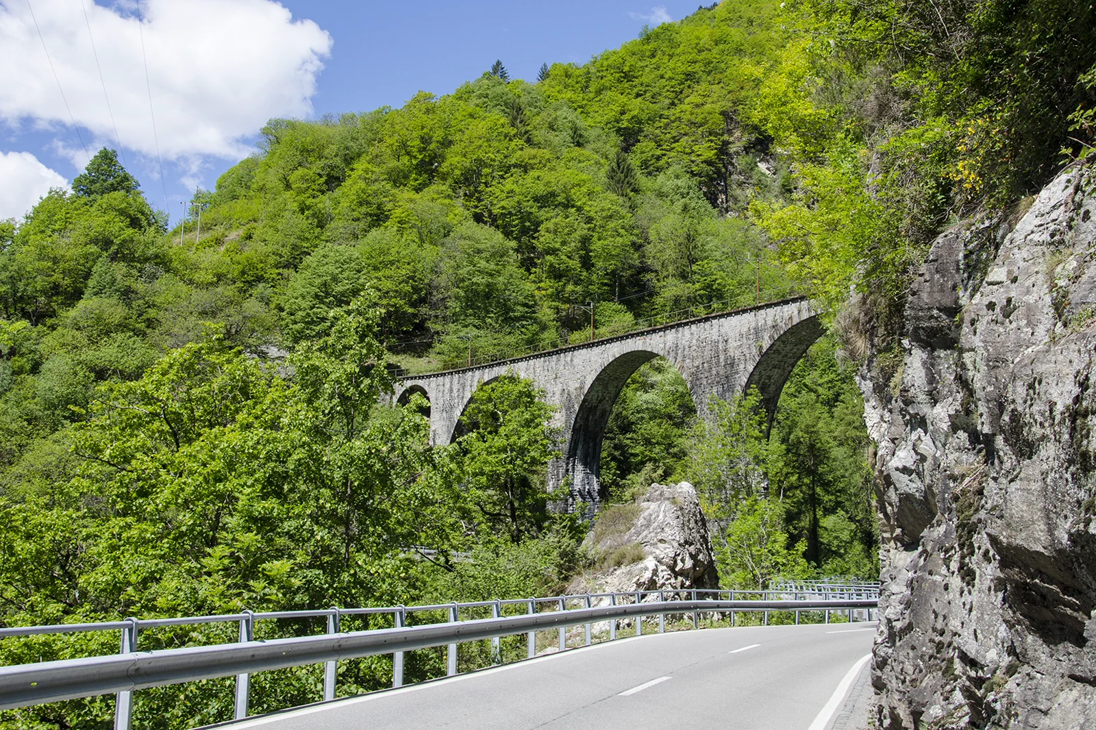 チェントヴァッリ鉄道と緑のティチーノの谷の景観