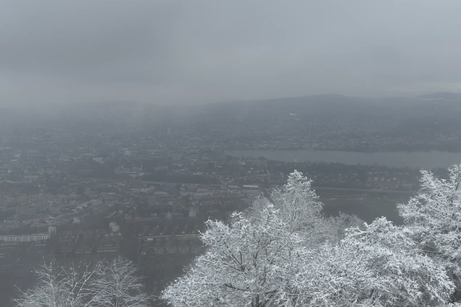 Lake Zurich with the city and surrounding hills