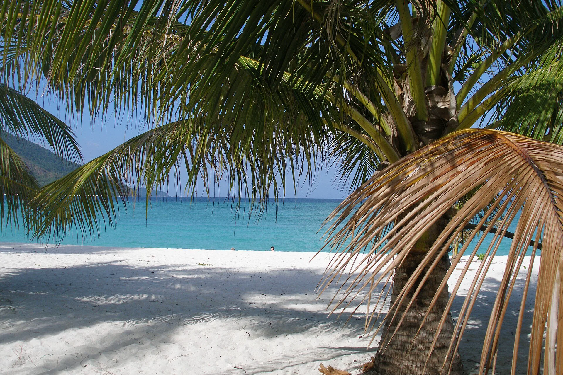 Palm-framed white beach and turquoise water on Ko Lipe