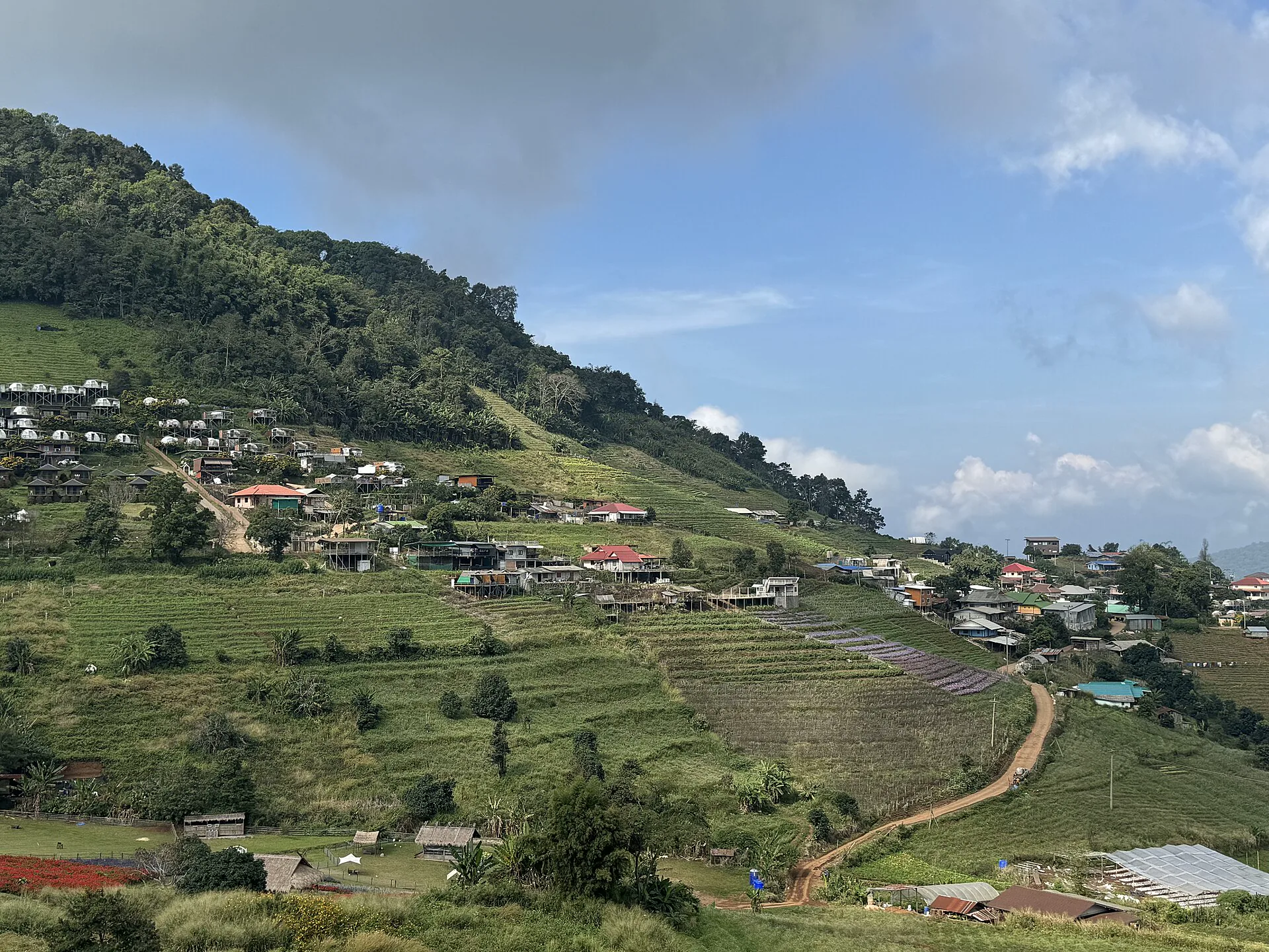 Green slopes and layered fields across Mae Sa Valley