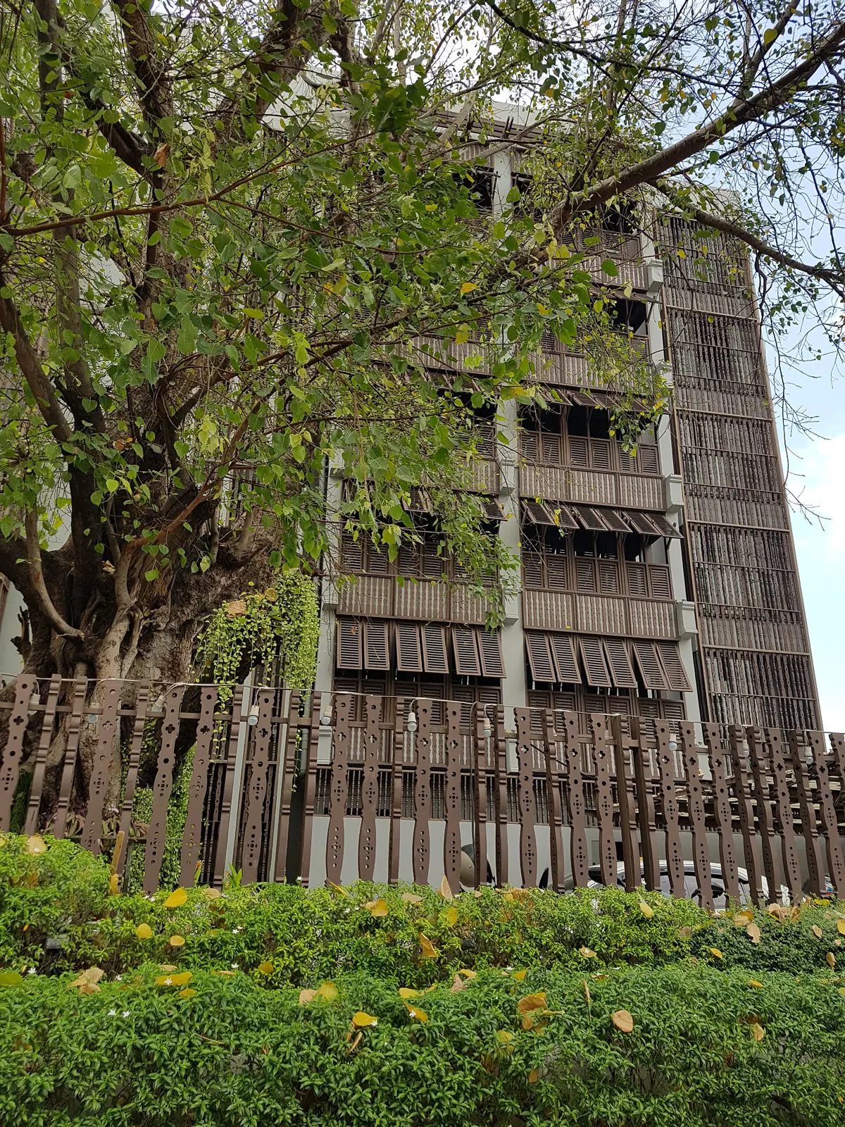 Wooden architecture and a large tree on Phra Athit Road